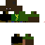 Texture for ds