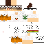 Texture for sfsffs