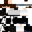 Texture for Skaizer