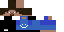 Texture for Loggieman