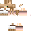 Texture for steve