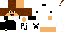 Texture for ds
