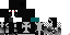 Texture for sassa