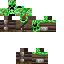 Texture for paul