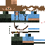 Texture for Artur4
