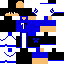 Texture for Trayzer_MC