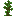 Texture for JungleSpling