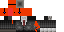 Texture for IGOR F