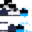 Texture for pinguim echo CJ