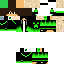 Texture for Teest