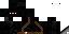 Texture for ninja