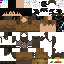 Texture for GeniuMP_