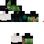 Texture for Flowcks mage