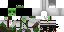 Texture for slime assassin