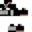 Texture for Fildaa
