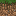 Texture for swamp_grass_block