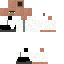 Texture for dS