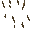 Texture for bits2