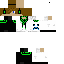 Texture for creepermcyt