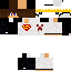 Texture for cara srcaua