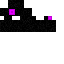 Texture for End Zombie