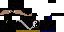 Texture for Shadow Ninja