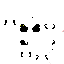 Texture for sottobosco