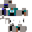 Texture for ender