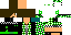 Texture for Picap