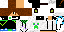 Texture for Allan