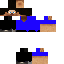 Texture for Random steve