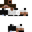Texture for Steve 2.0