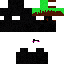 Texture for endermon