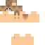 Texture for chicken nugget