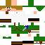 Texture for LinkKrieger 1.2
