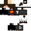 Texture for SkyDIdo