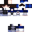 Texture for ds