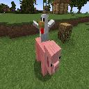 Texture for image texture pack