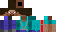 Texture for shep
