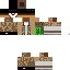 Texture for 1337