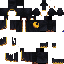 Texture for triguy overlay