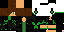 Texture for Mr.Maxtiger1