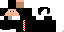 Texture for Dark22evolution