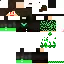 Texture for steve