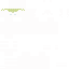 Texture for Alweus