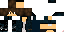 Texture for gui306