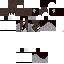 Texture for TrySh