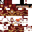 Texture for Flash