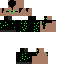Texture for PlZygarde64
