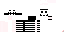 Texture for skeletron